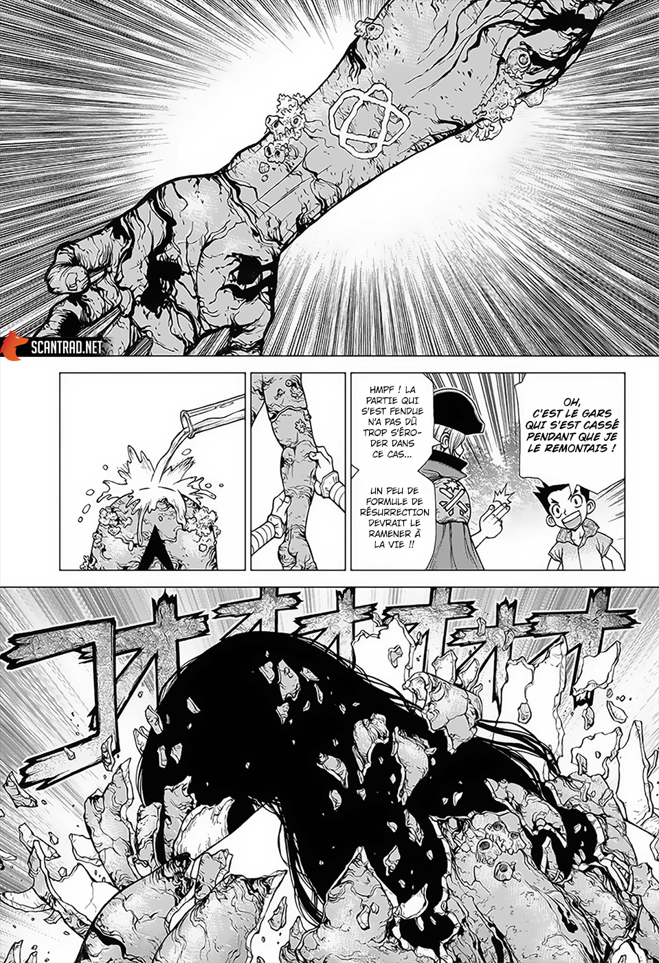 Read Dr. Stone FR Manga Online