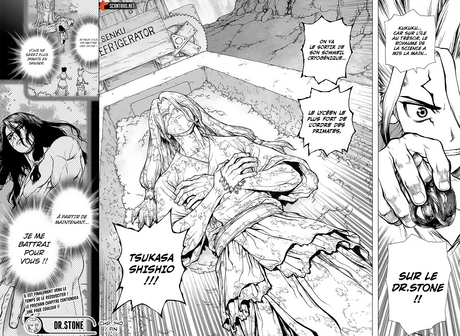 Read Dr. Stone FR Manga Online