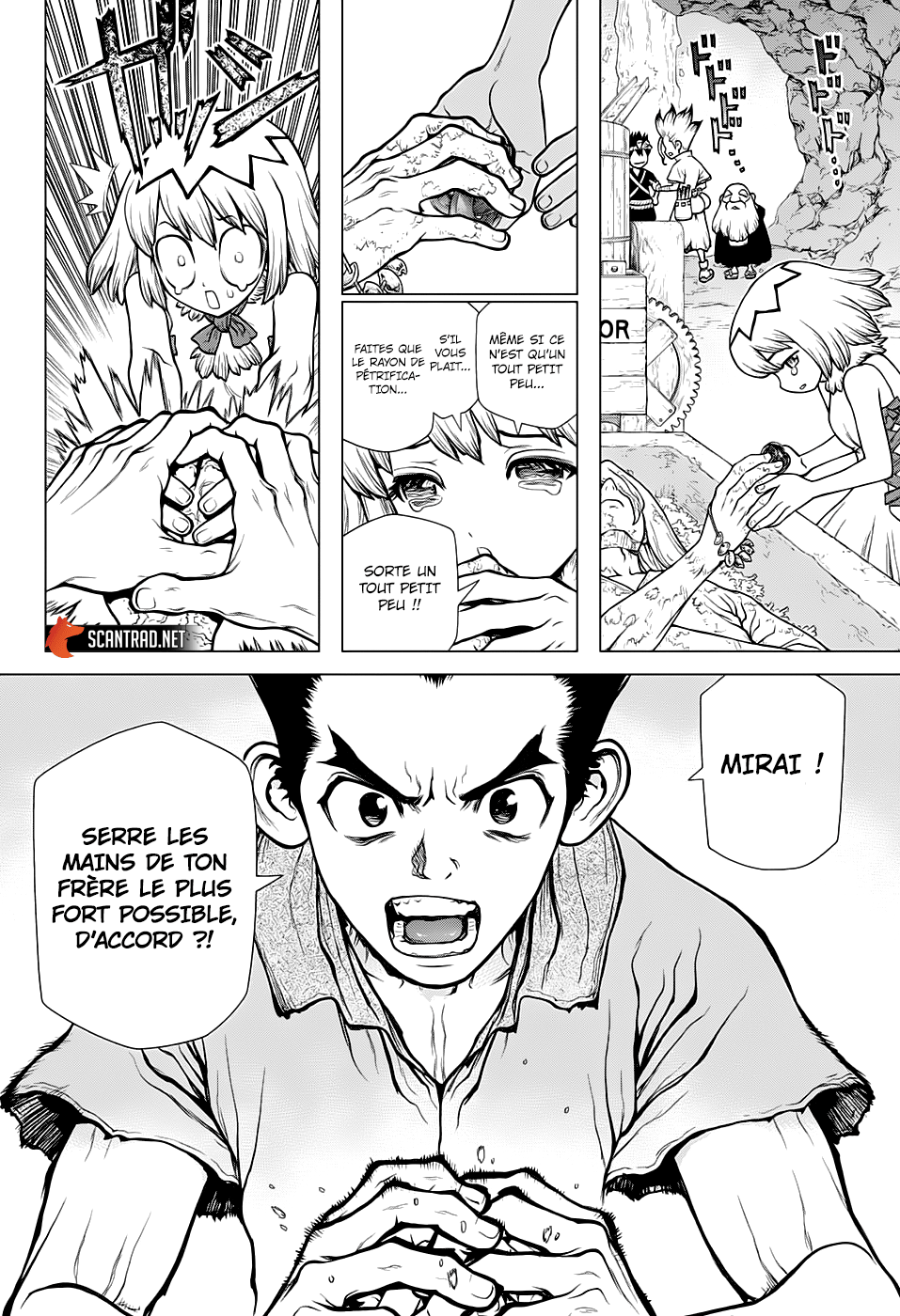 Read Dr. Stone FR Manga Online