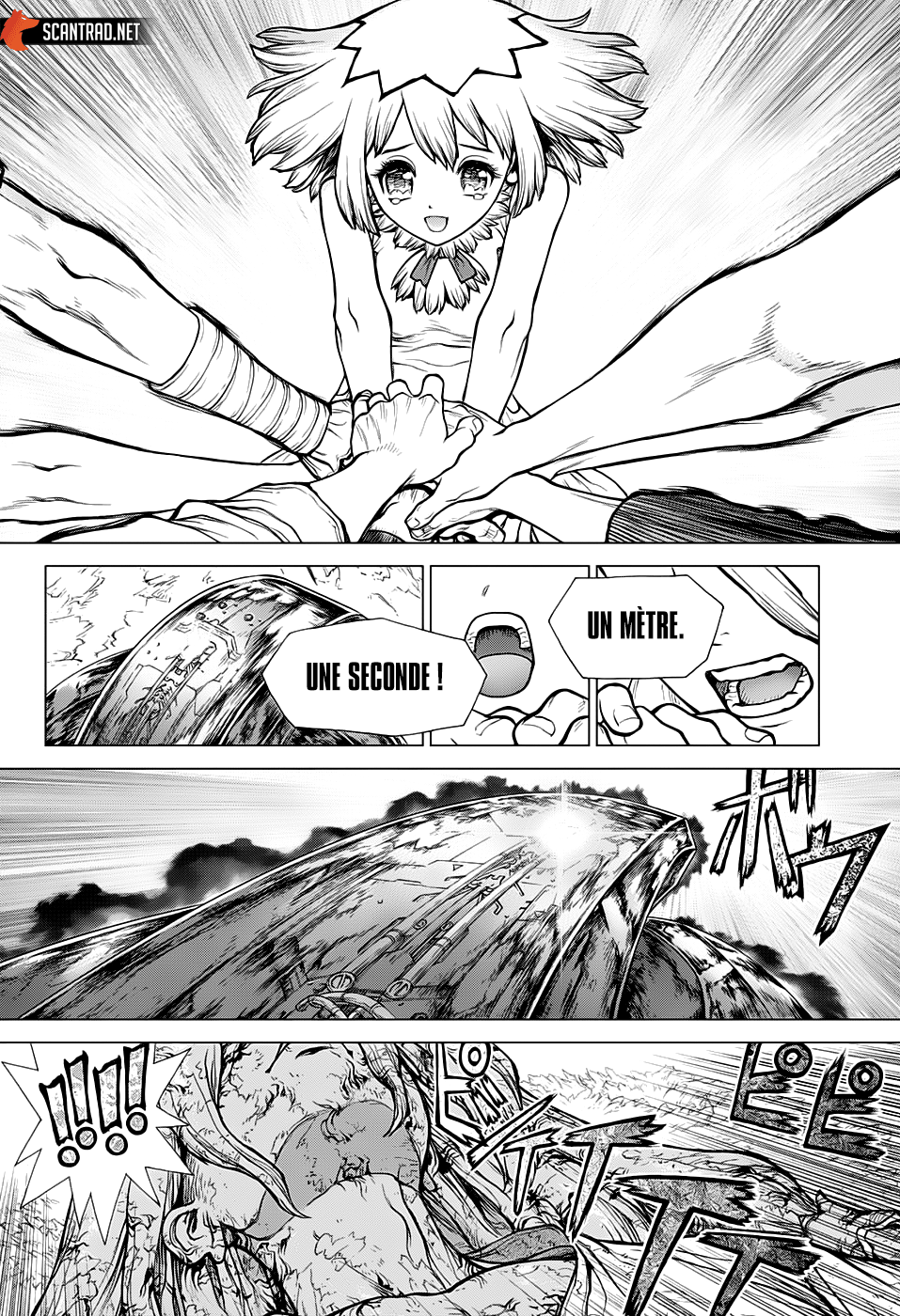 Read Dr. Stone FR Manga Online