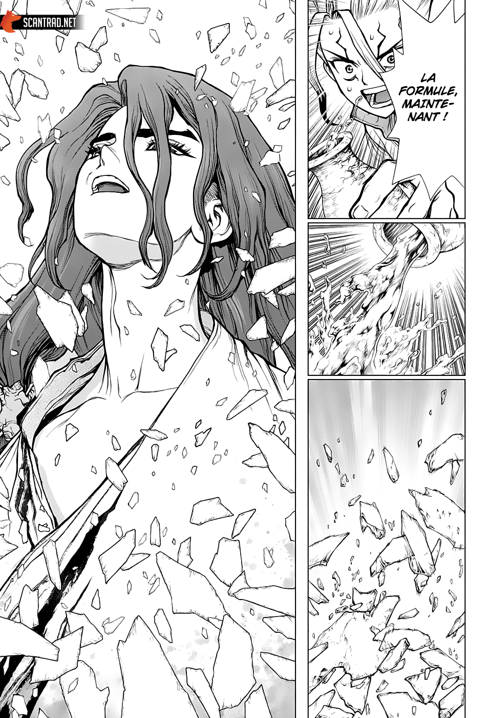 Read Dr. Stone FR Manga Online