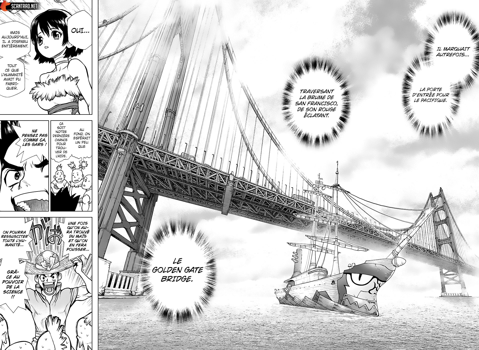 Read Dr. Stone FR Manga Online