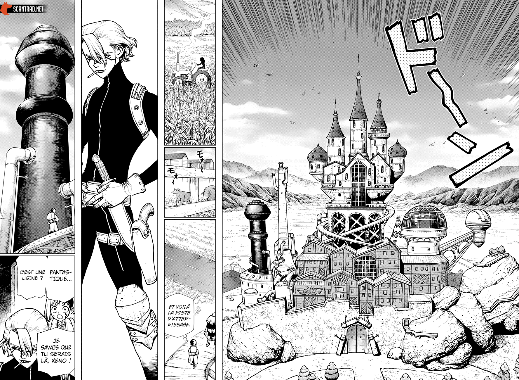 Read Dr. Stone FR Manga Online