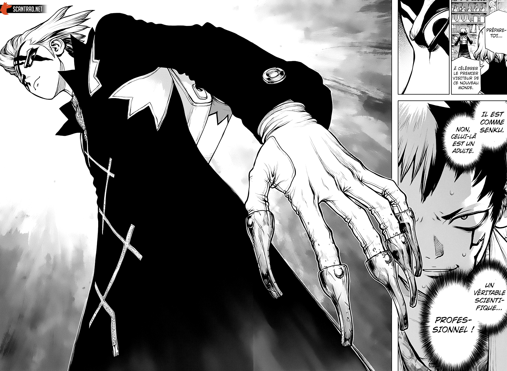 Read Dr. Stone FR Manga Online