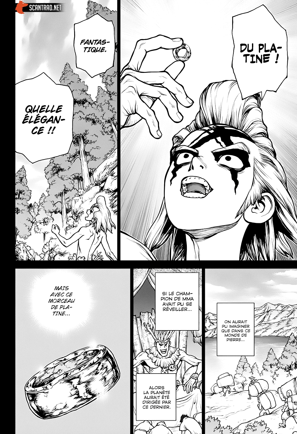 Read Dr. Stone FR Manga Online