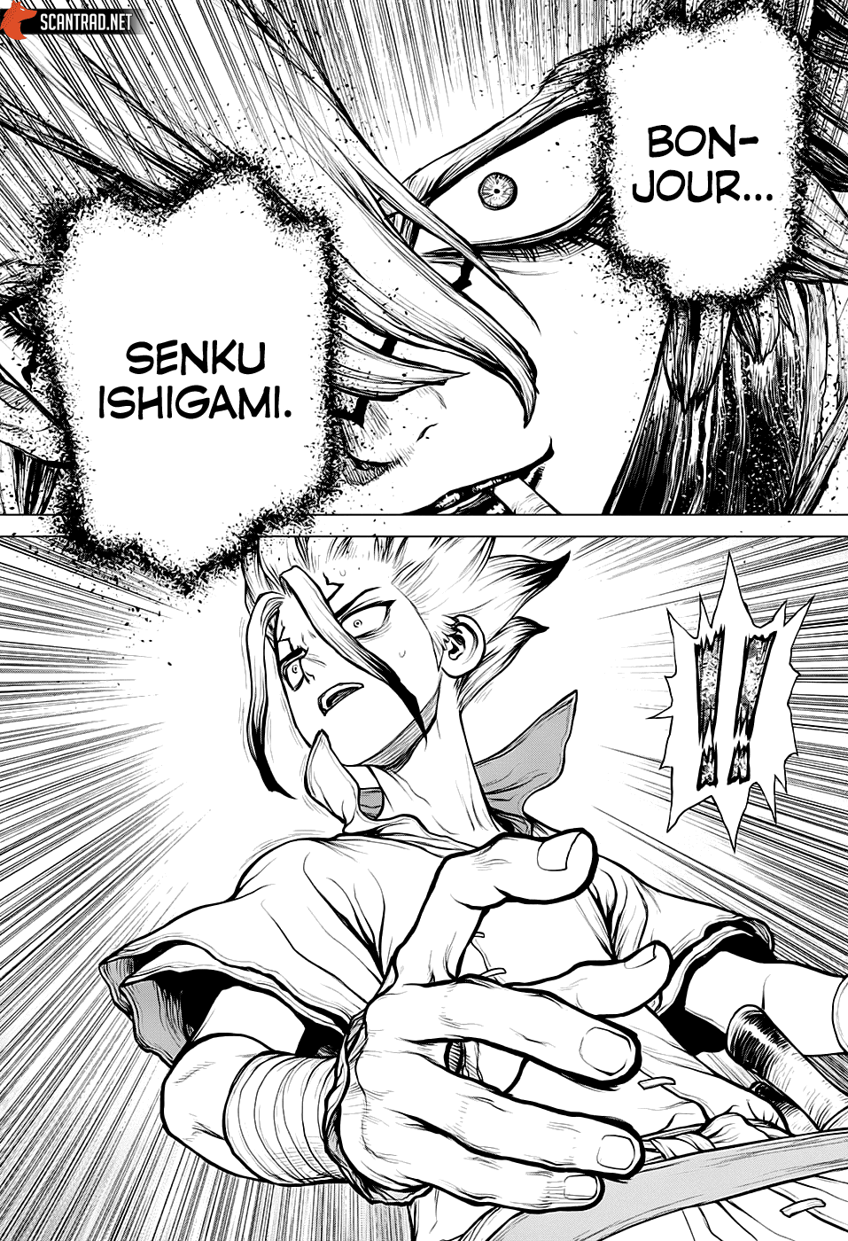 Read Dr. Stone FR Manga Online
