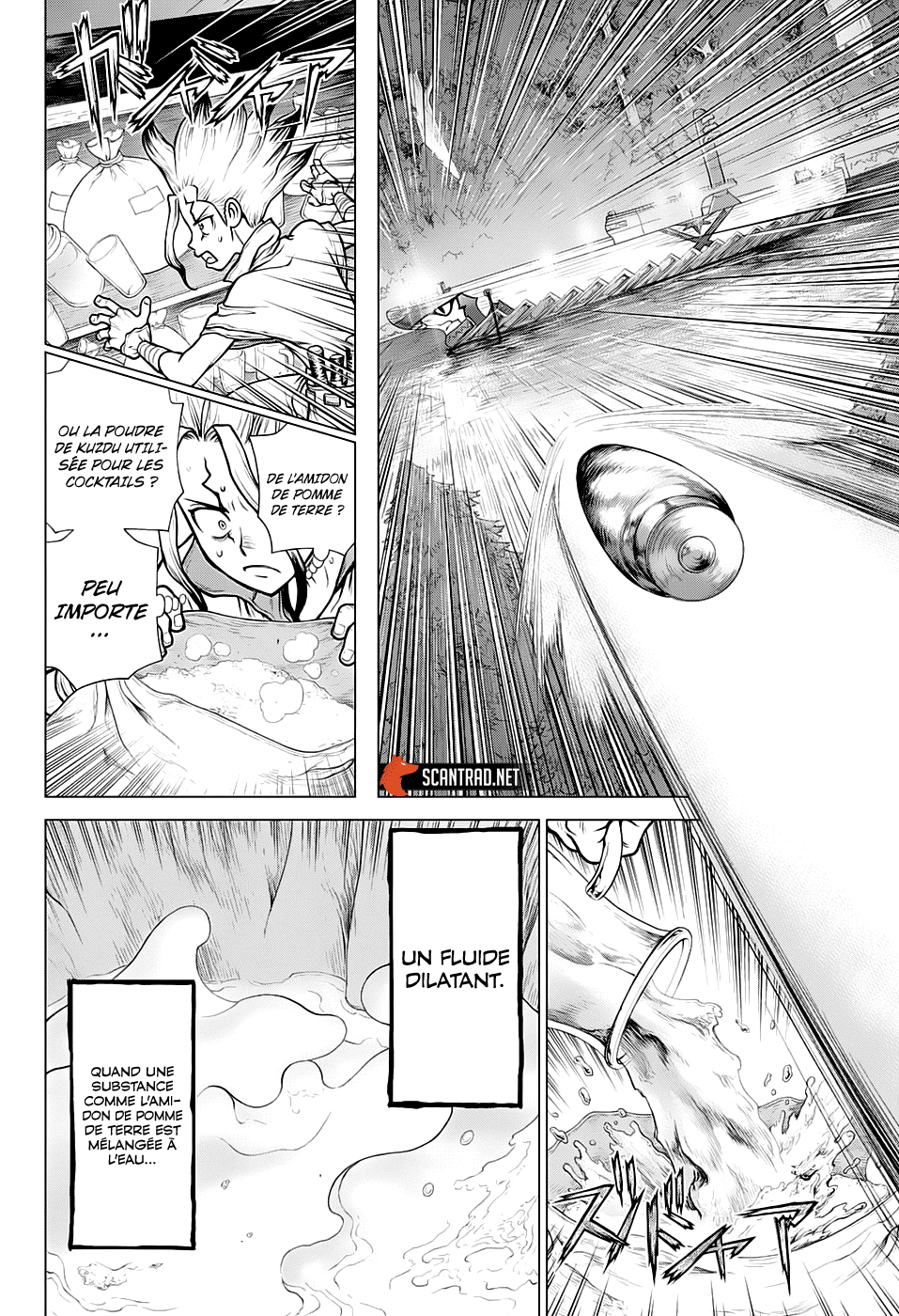 Read Dr. Stone FR Manga Online