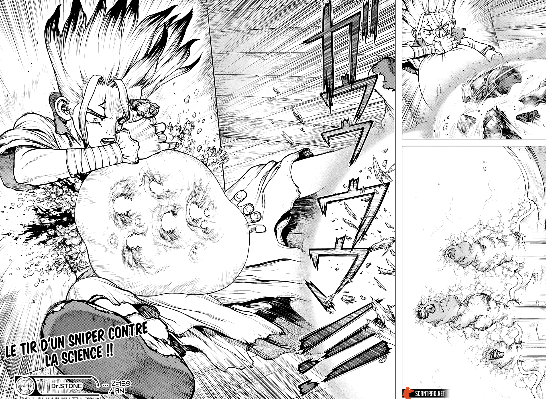 Read Dr. Stone FR Manga Online
