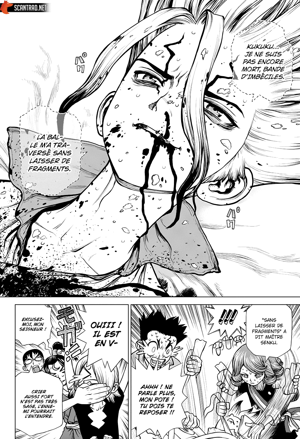 Read Dr. Stone FR Manga Online