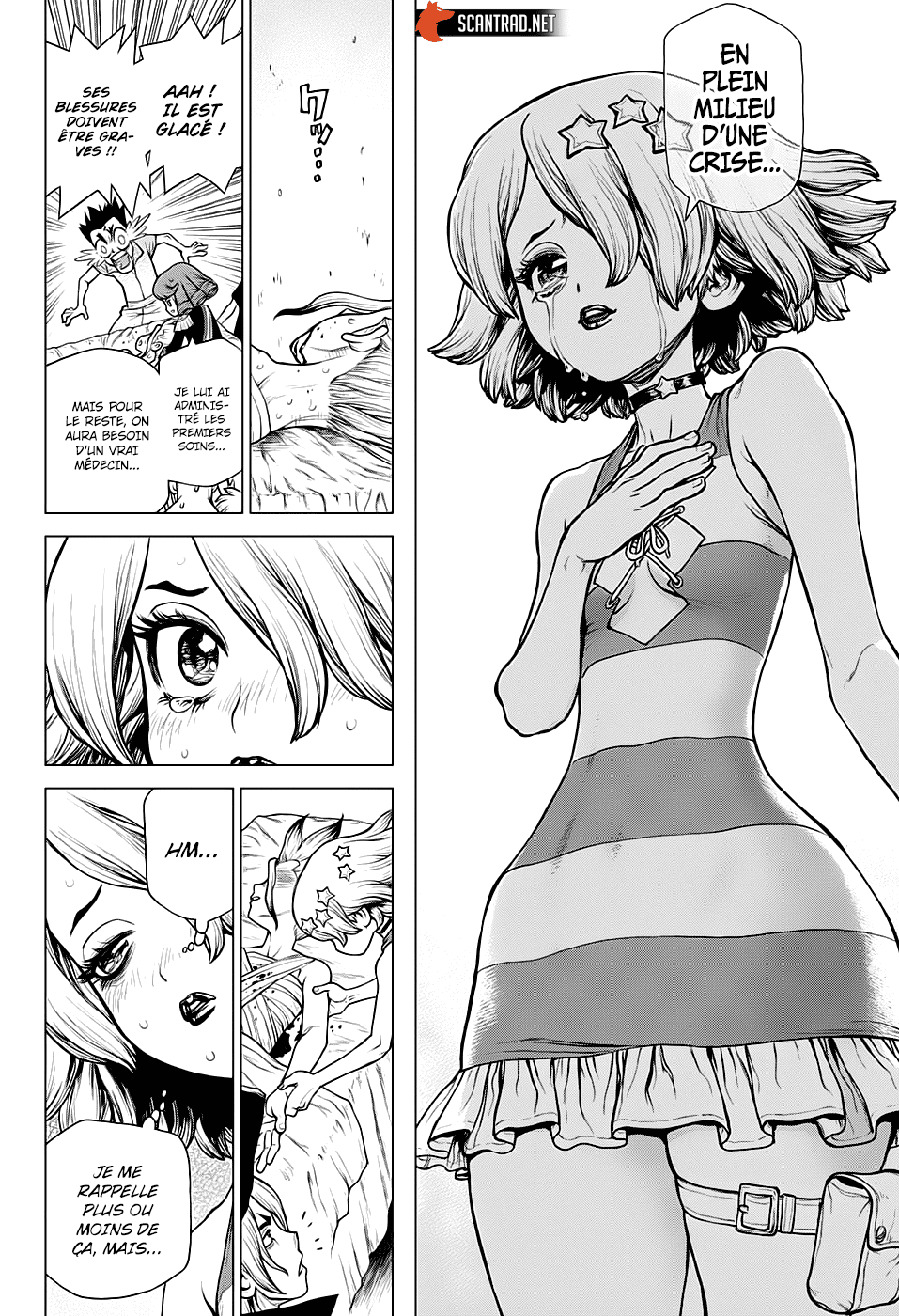 Read Dr. Stone FR Manga Online