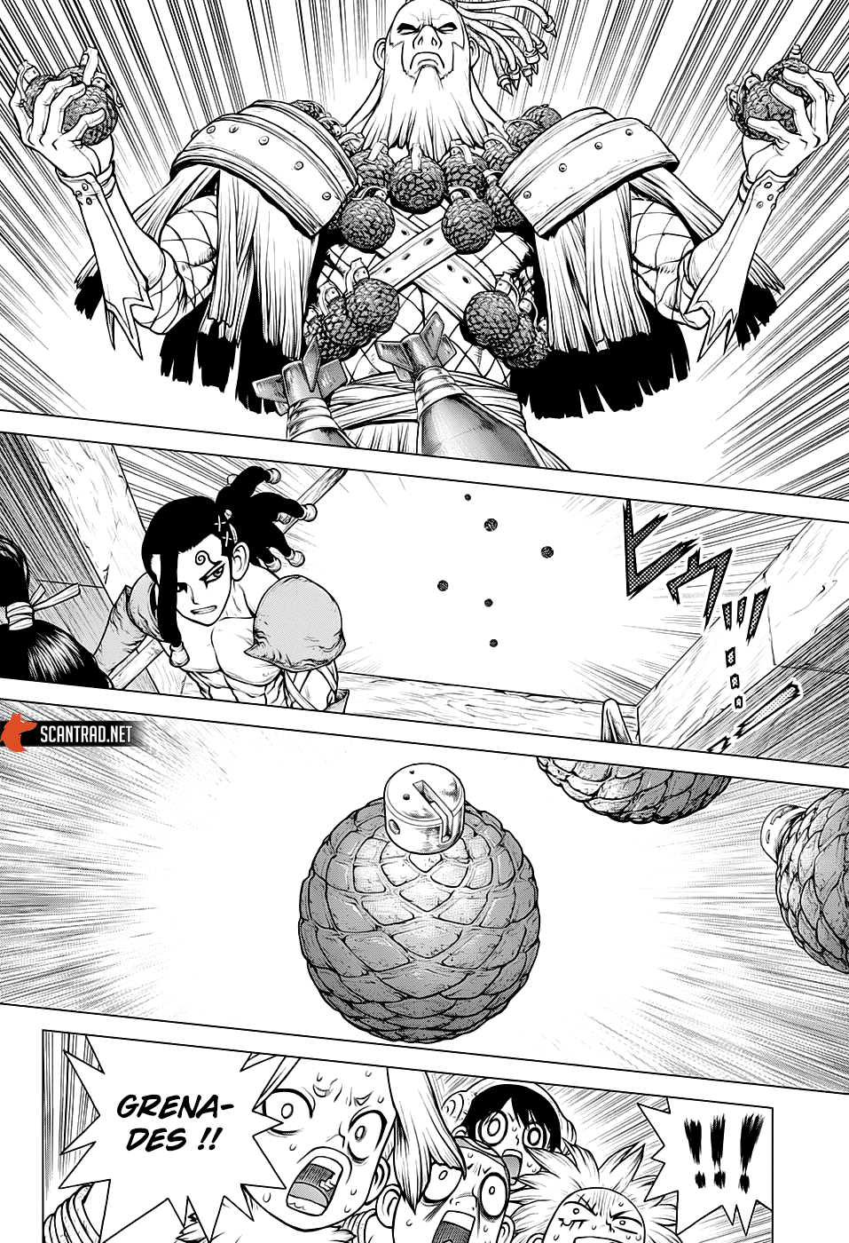 Read Dr. Stone FR Manga Online