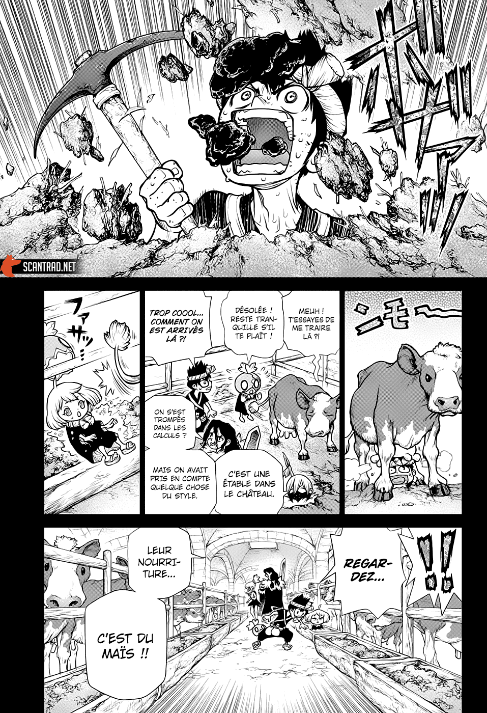 Read Dr. Stone FR Manga Online
