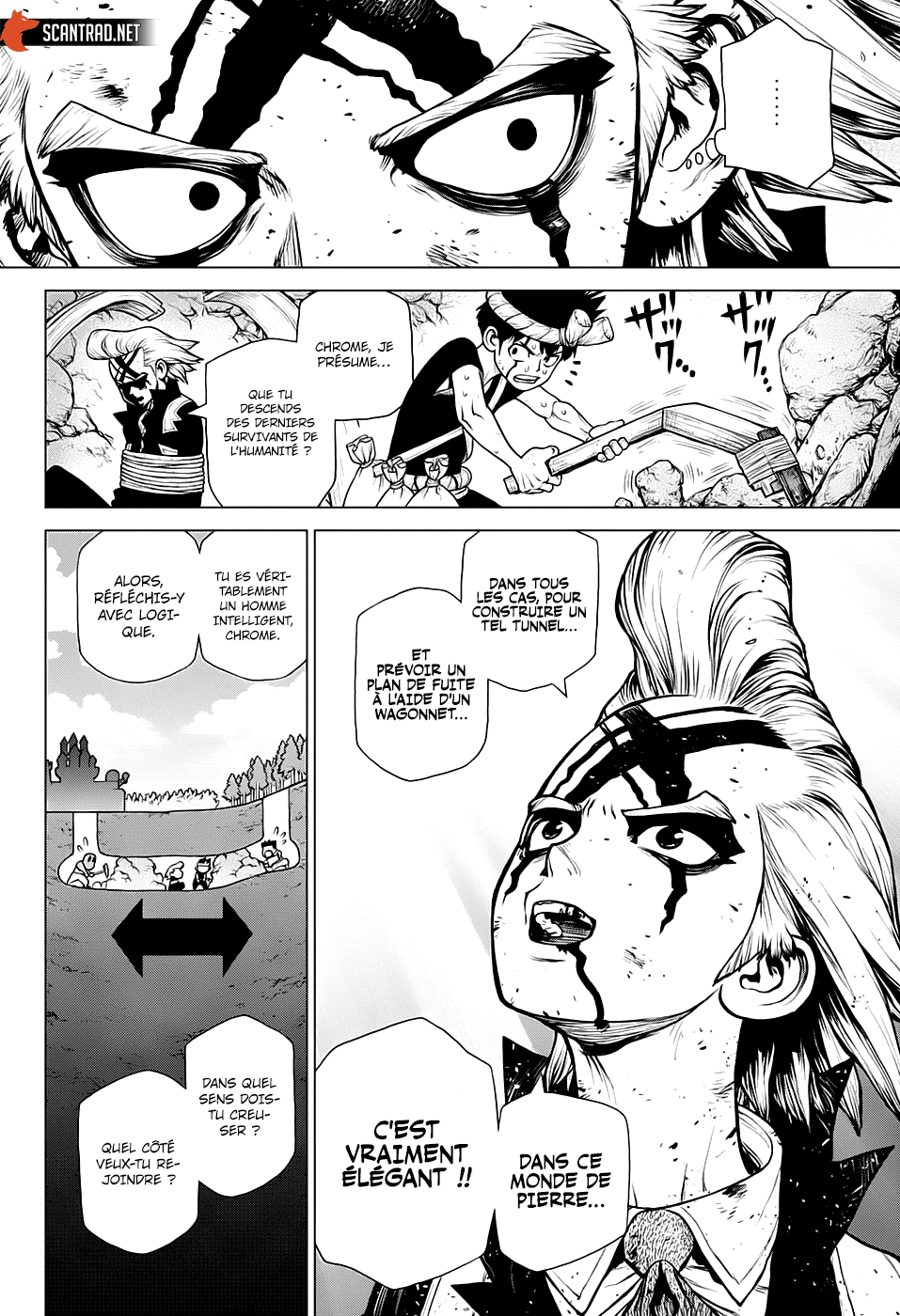 Read Dr. Stone FR Manga Online
