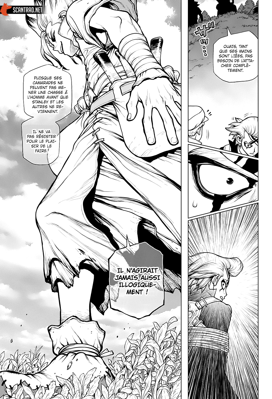 Read Dr. Stone FR Manga Online
