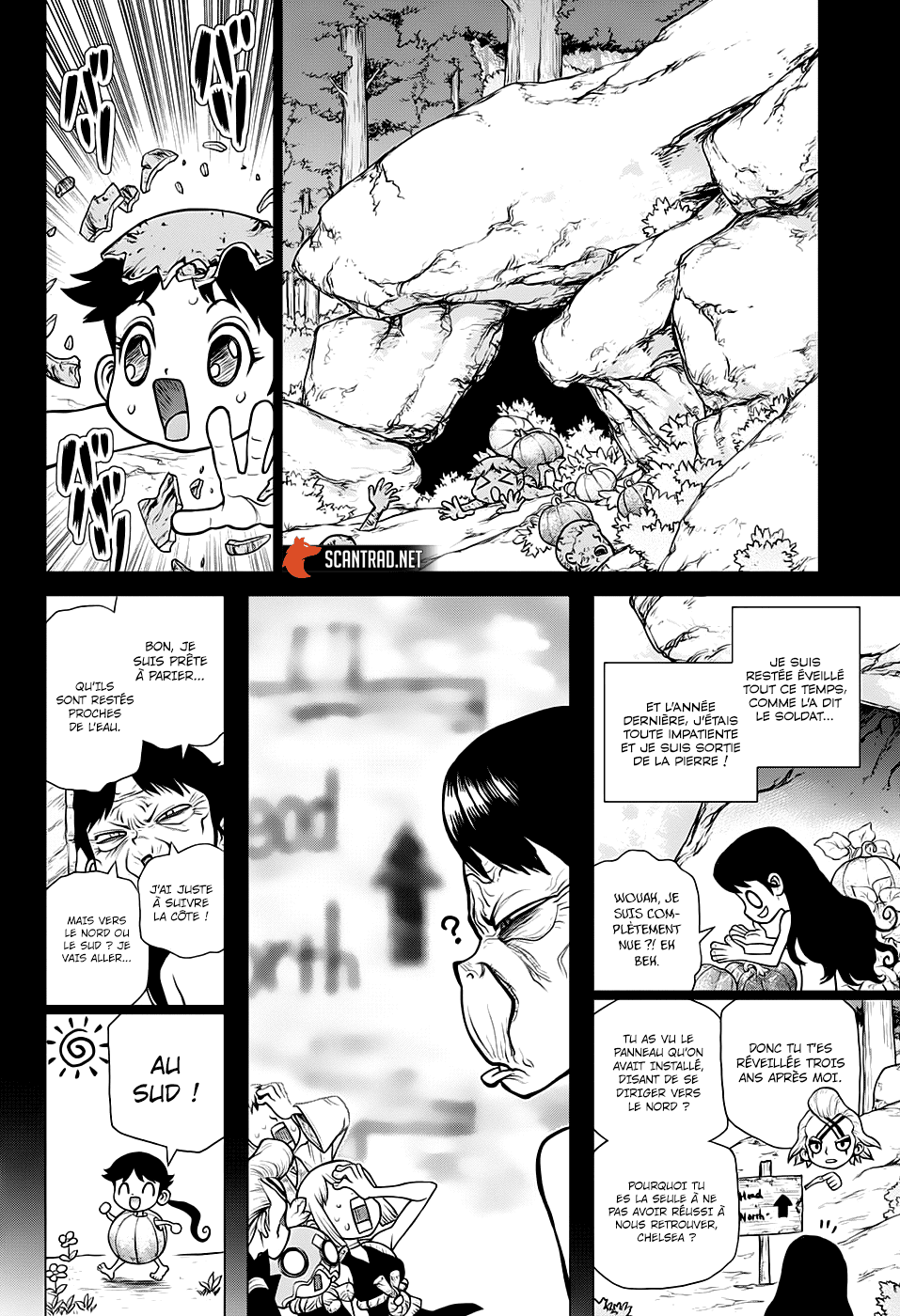 Read Dr. Stone FR Manga Online