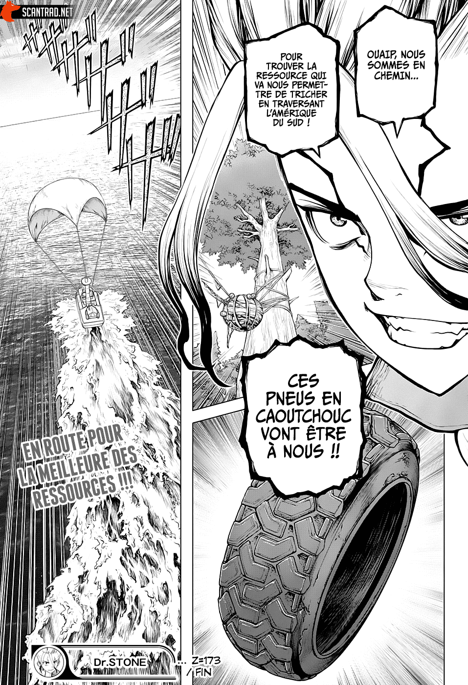 Read Dr. Stone FR Manga Online