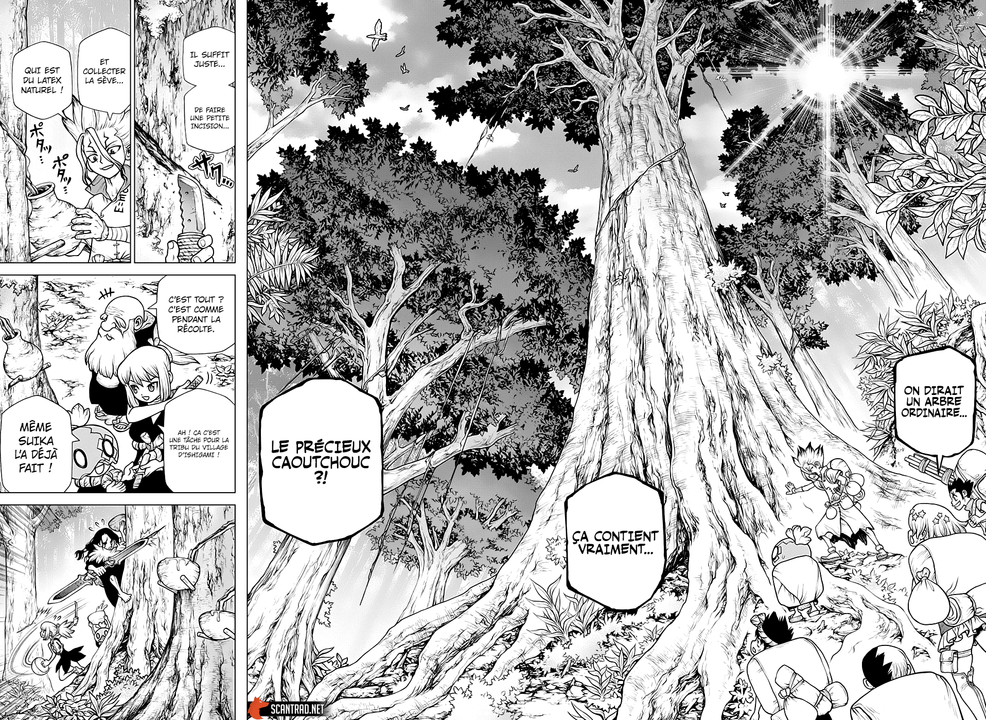 Read Dr. Stone FR Manga Online
