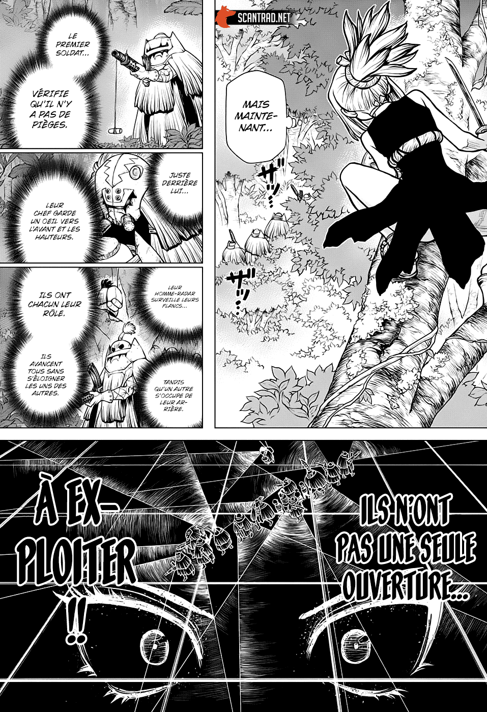 Read Dr. Stone FR Manga Online