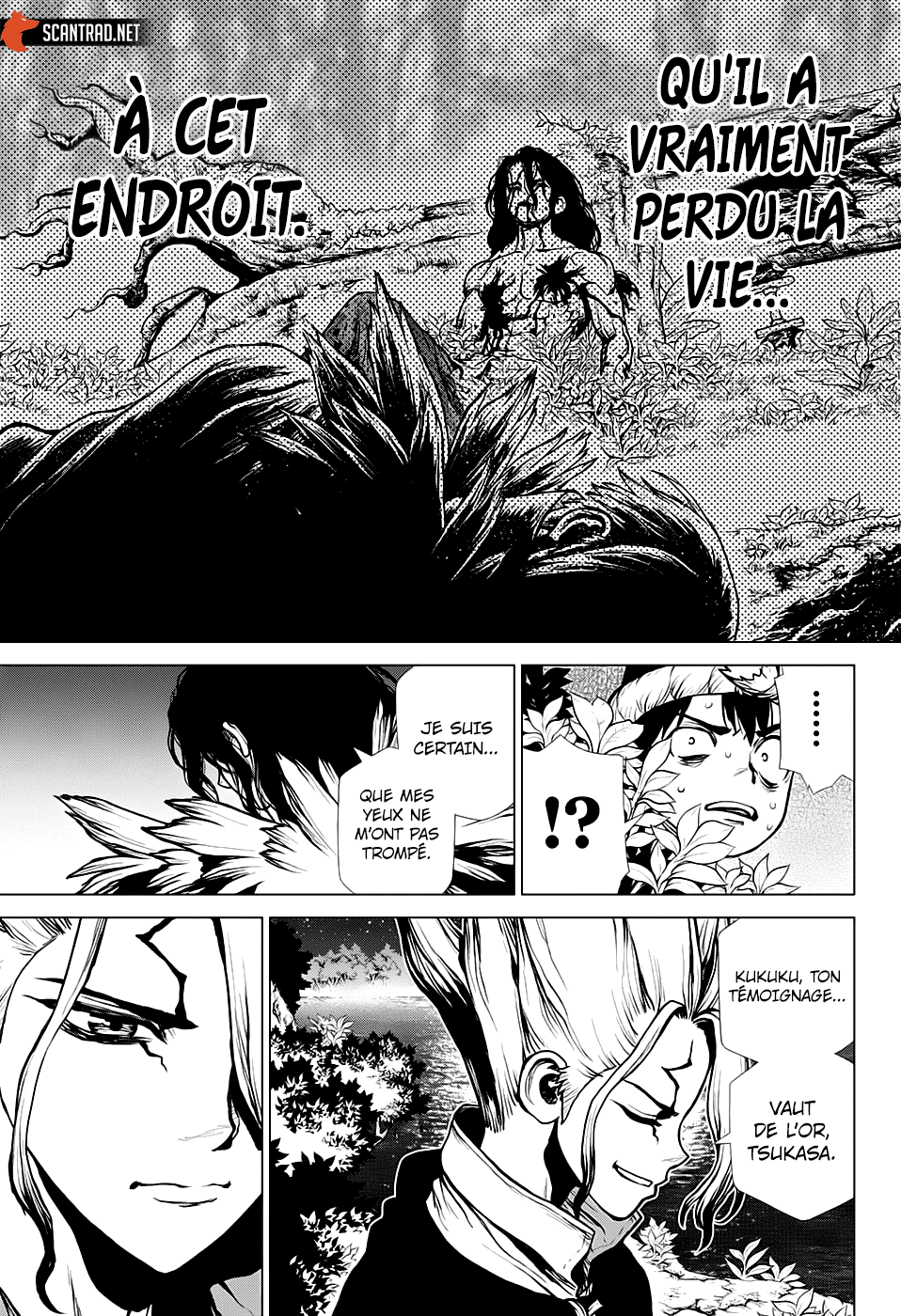 Read Dr. Stone FR Manga Online