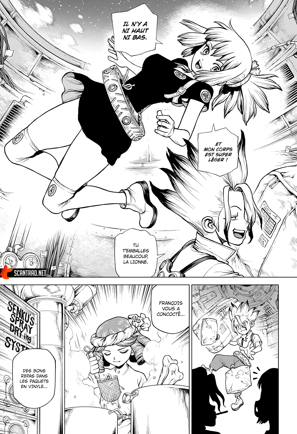 Read Dr. Stone FR Manga Online
