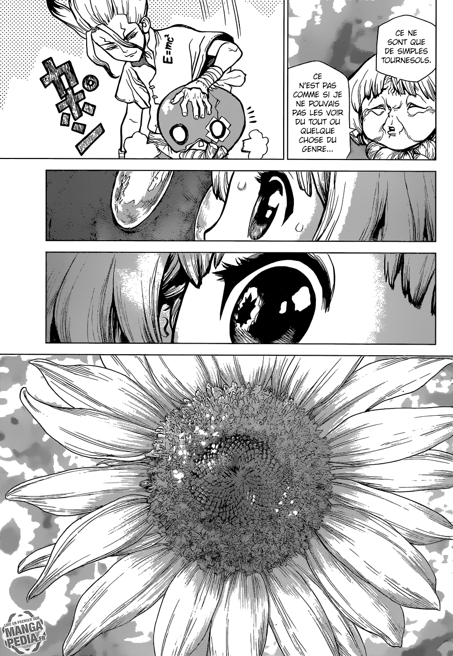 Read Dr. Stone FR Manga Online