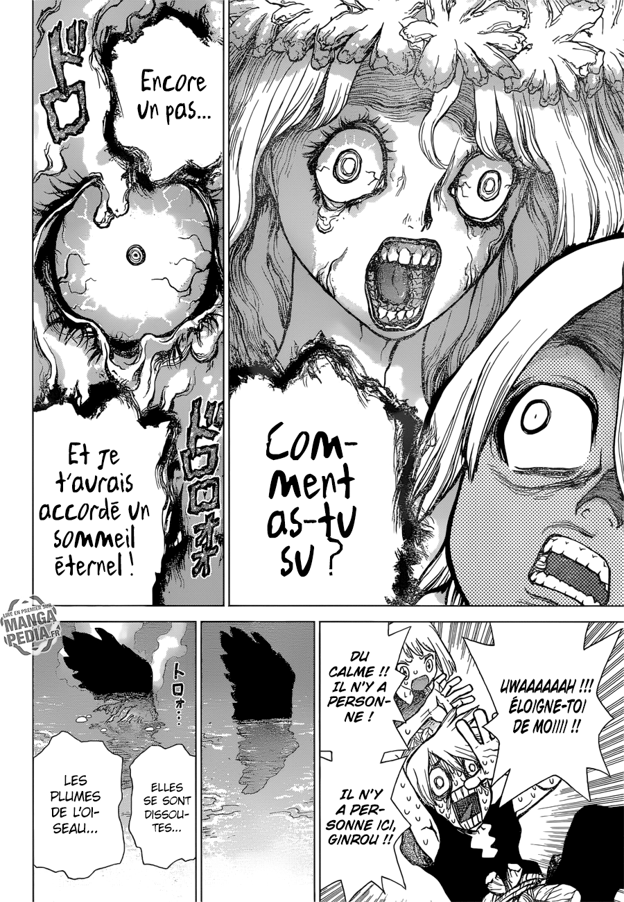 Read Dr. Stone FR Manga Online