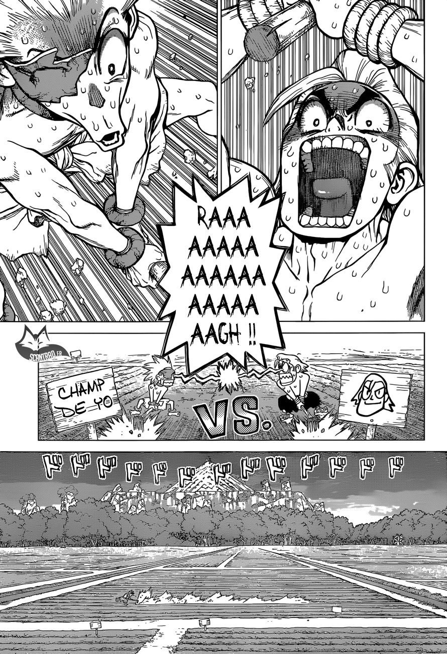 Read Dr. Stone FR Manga Online