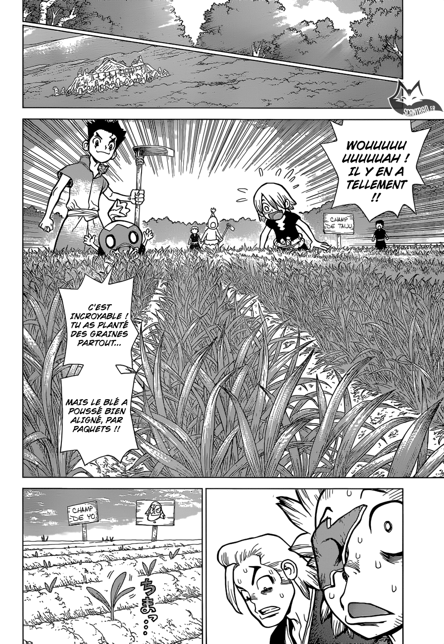 Read Dr. Stone FR Manga Online