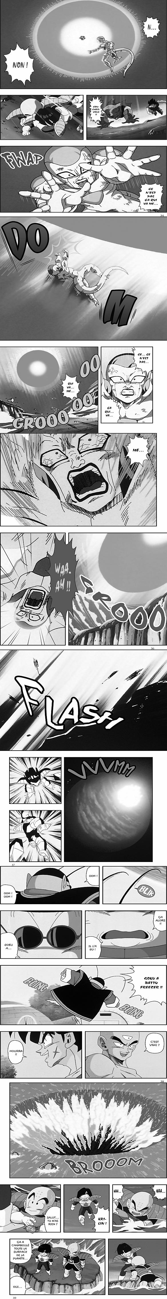 Read Dragon Ball Z FR Manga Online