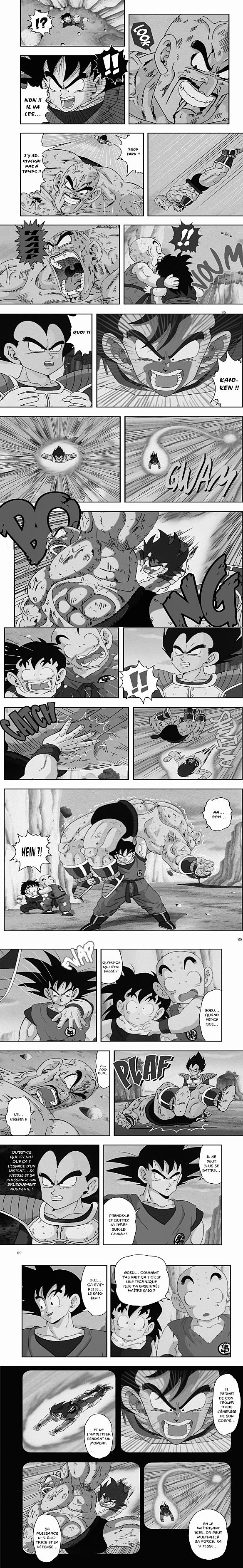 Read Dragon Ball Z FR Manga Online