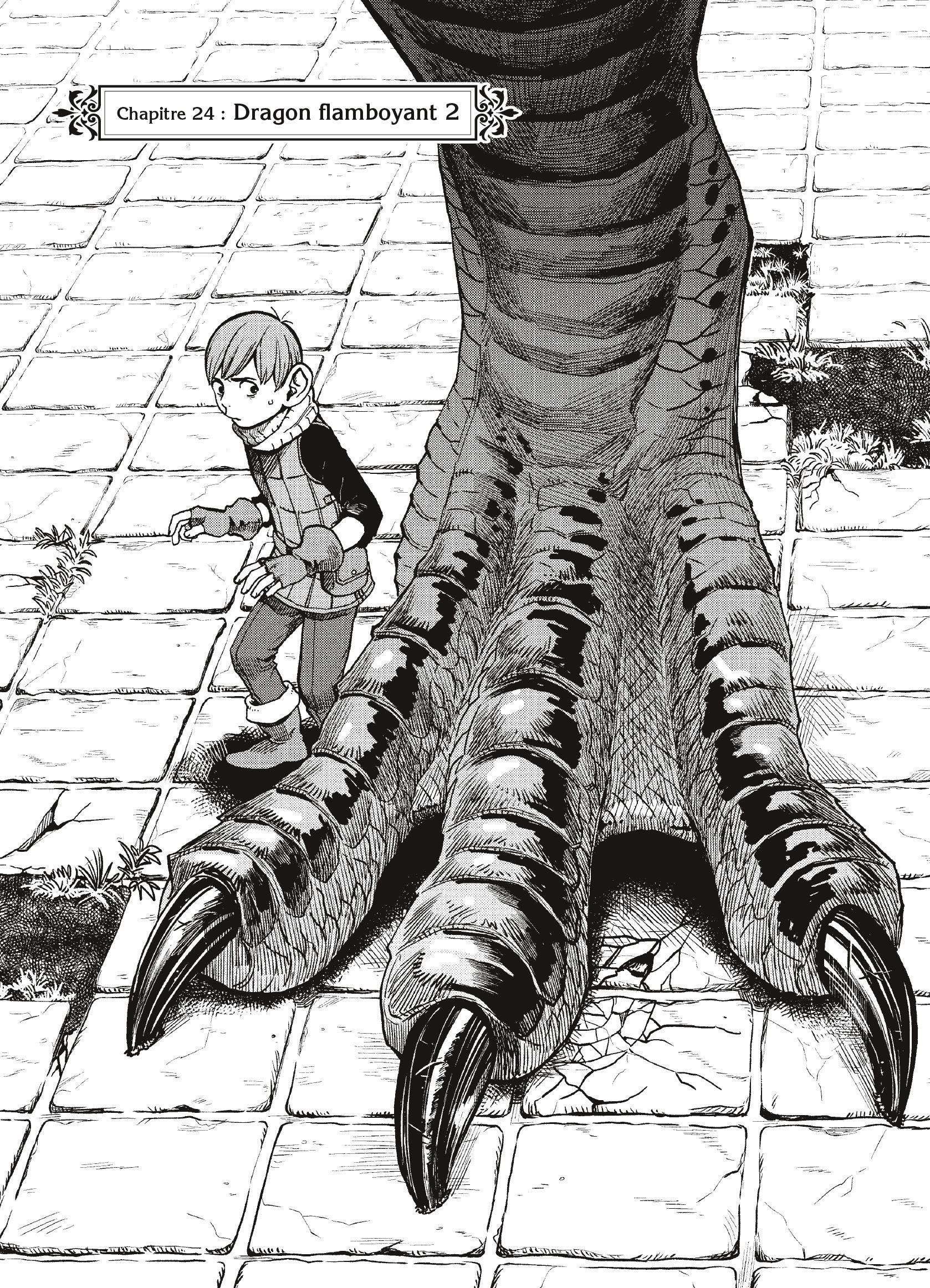 Read Dungeon Meshi FR Manga Online