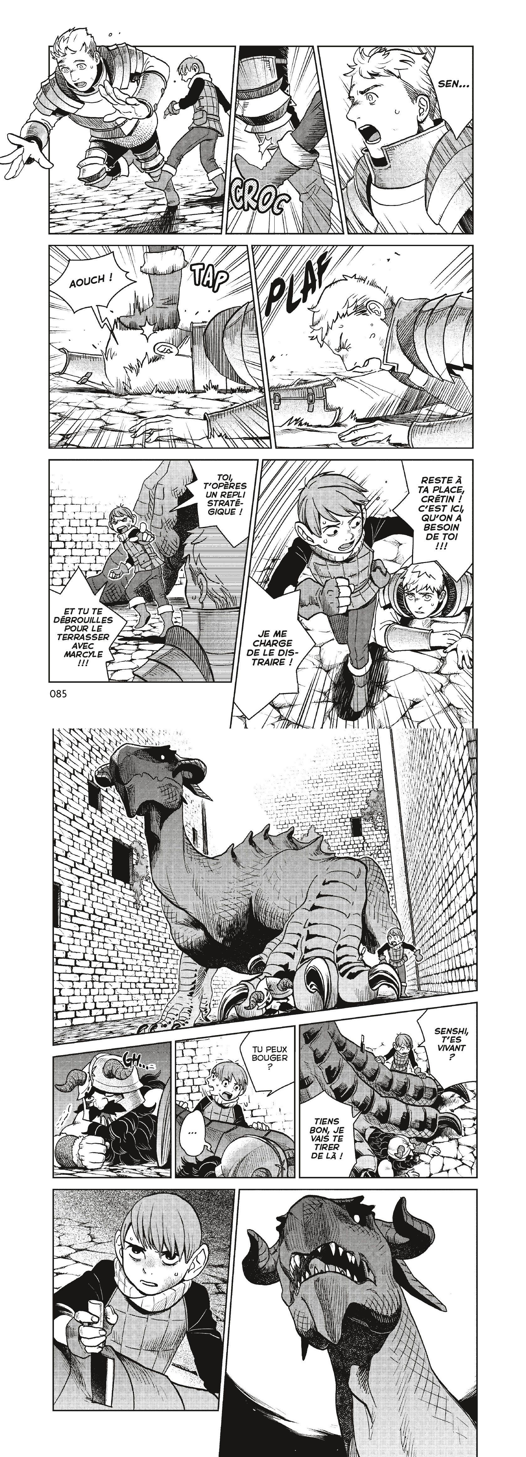 Read Dungeon Meshi FR Manga Online