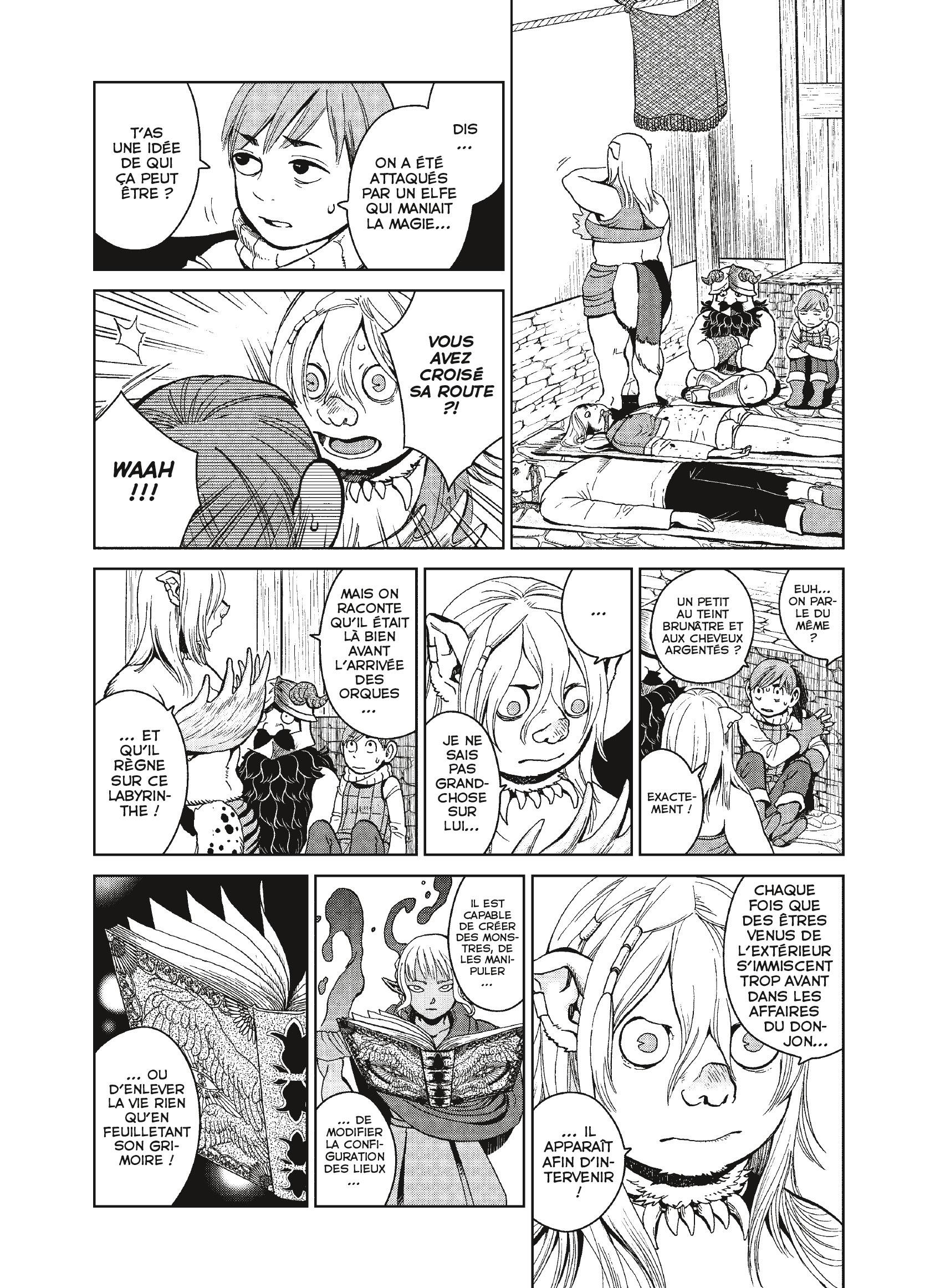 Read Dungeon Meshi FR Manga Online