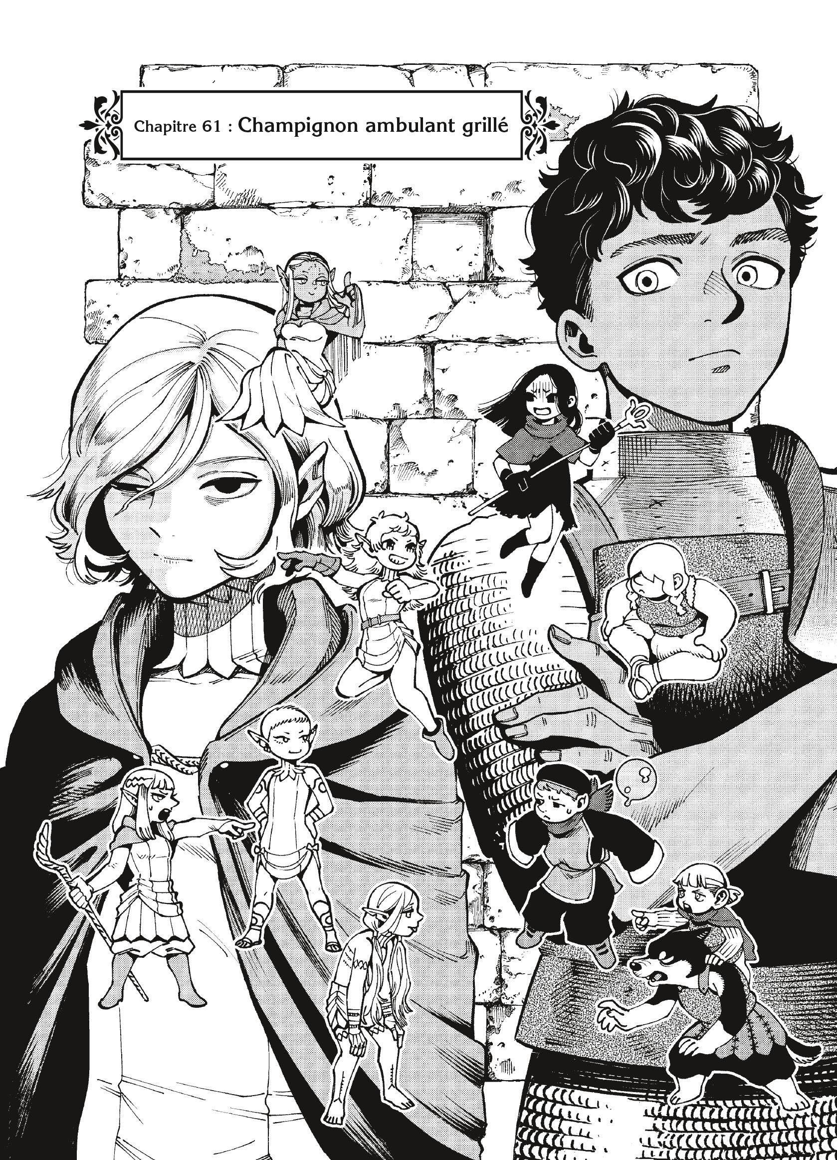 Read Dungeon Meshi FR Manga Online