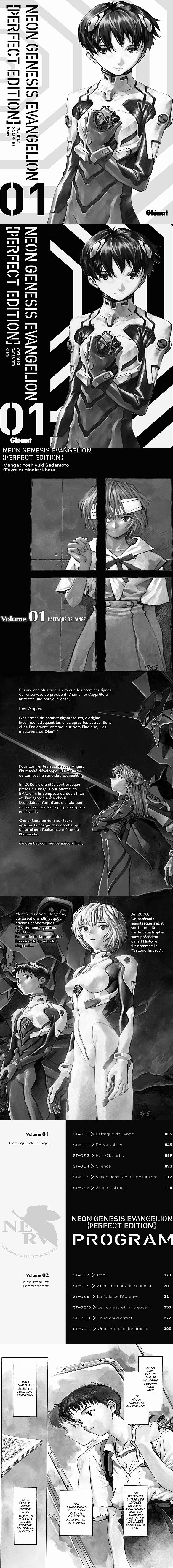 Read Evangelion FR Manga Online