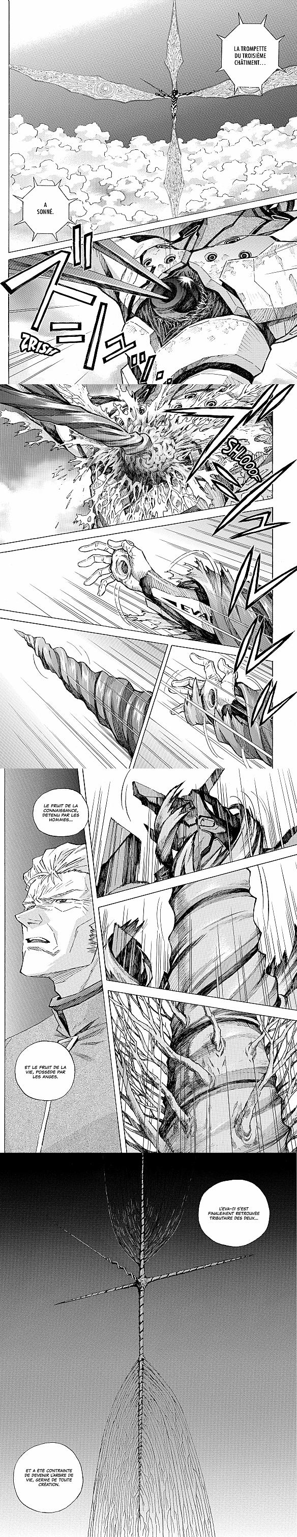 Read Evangelion FR Manga Online