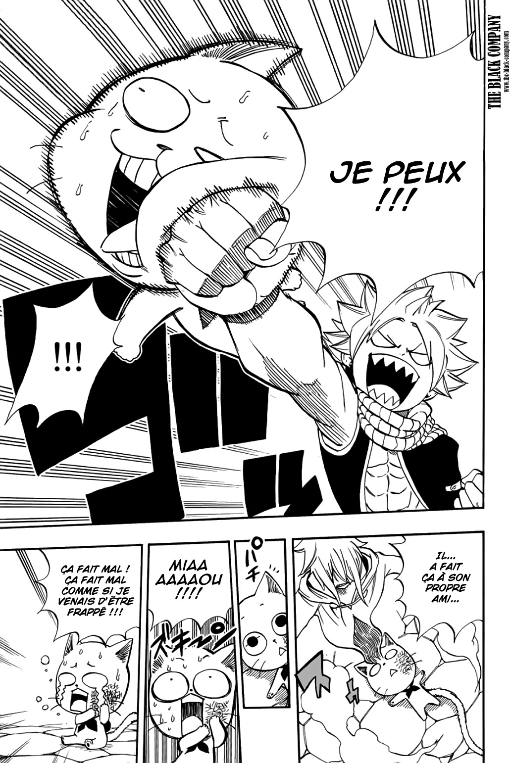 Read Fairy Tail 100 Years Quest FR Manga Online