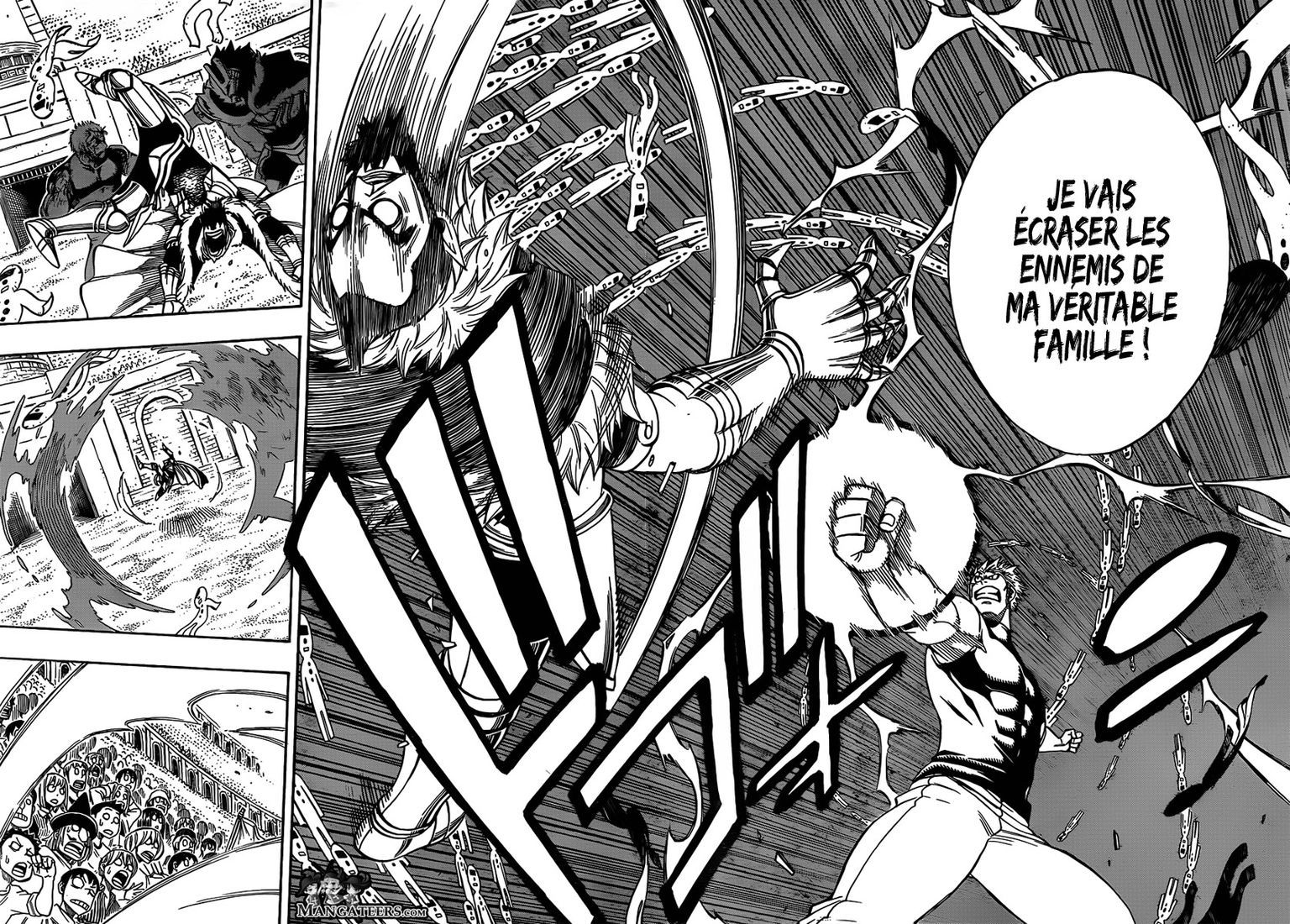 Read Fairy Tail FR Manga Online