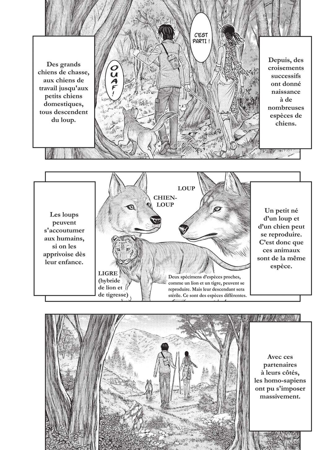 Read Genesis FR Manga Online