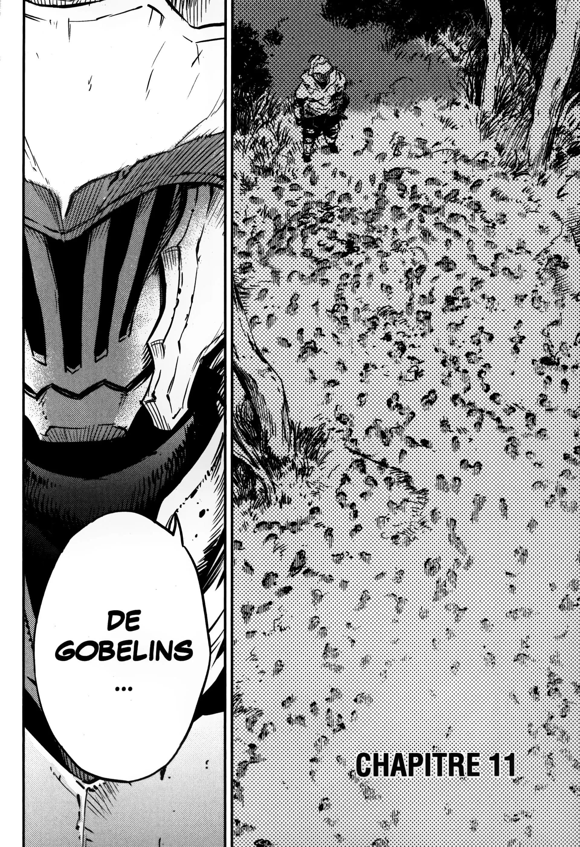 Read Goblin Slayer FR Manga Online