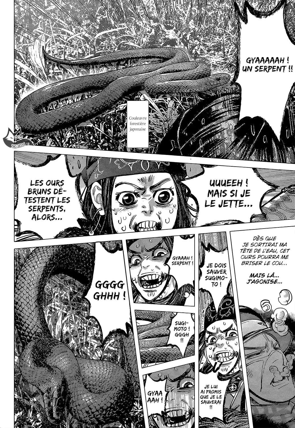 Read Golden Kamui FR Manga Online
