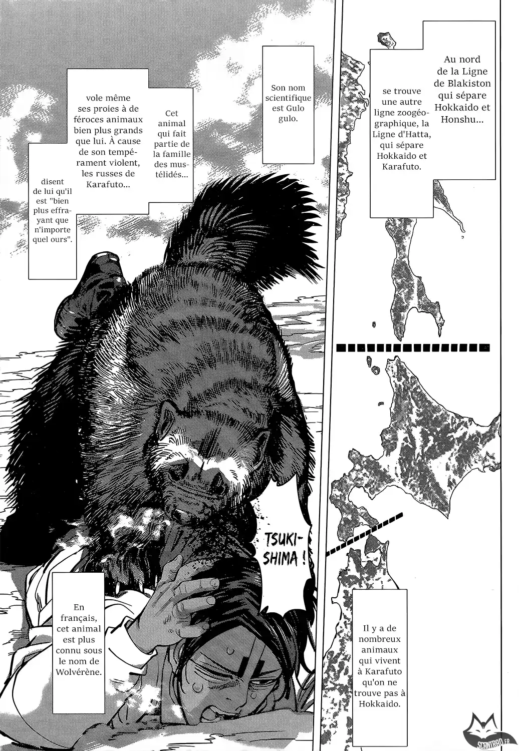 Read Golden Kamui FR Manga Online