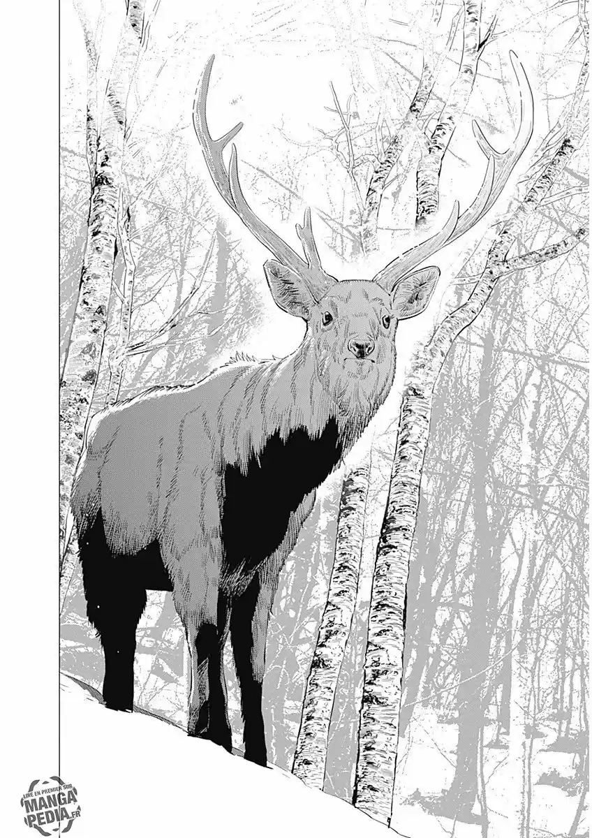 Read Golden Kamui FR Manga Online
