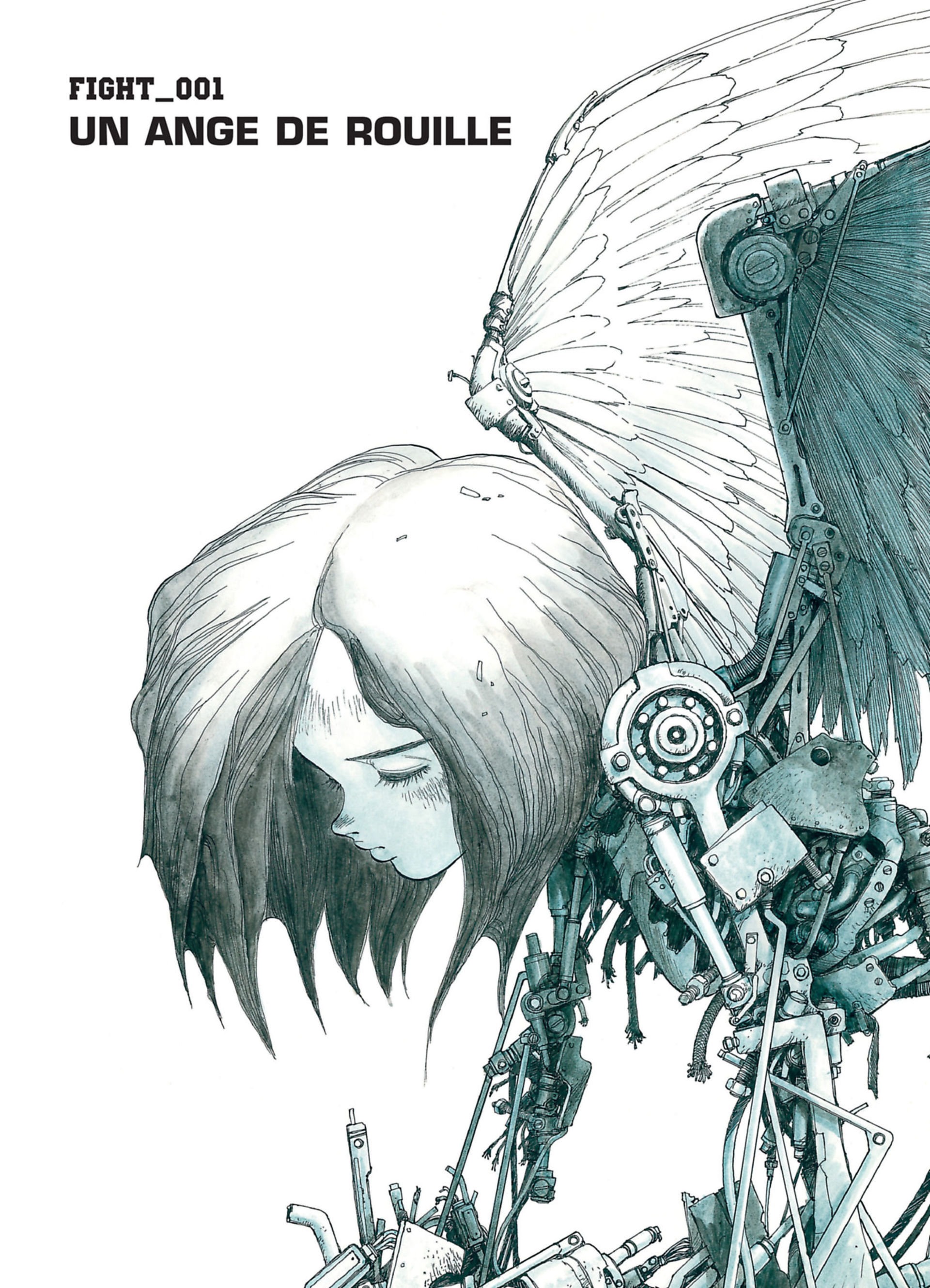 Read Gunnm FR Manga Online