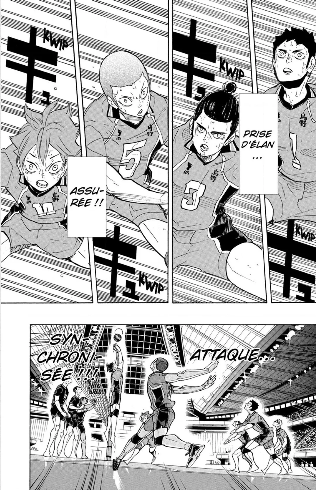 Read Haikyuu FR Manga Online