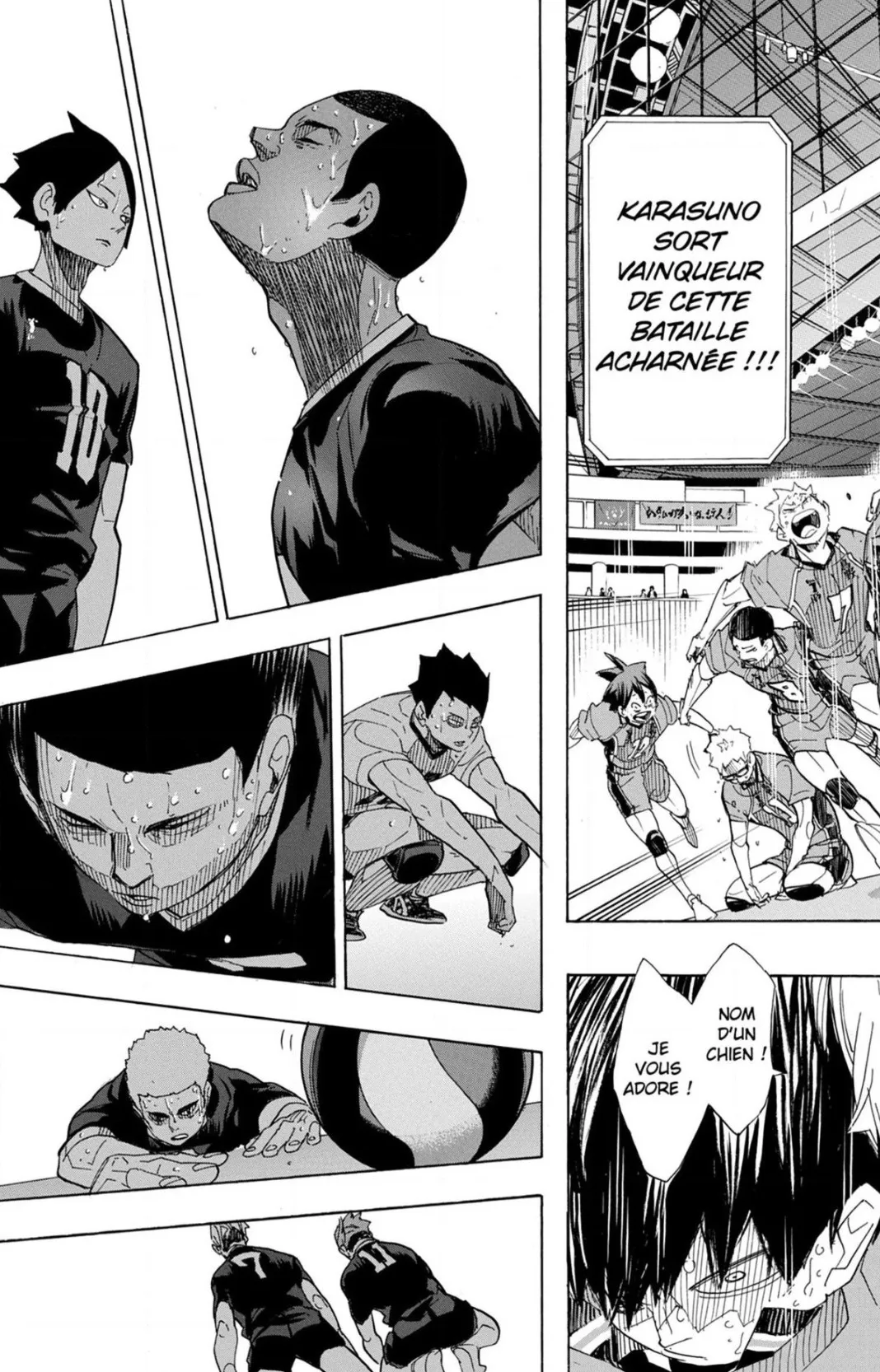 Read Haikyuu FR Manga Online
