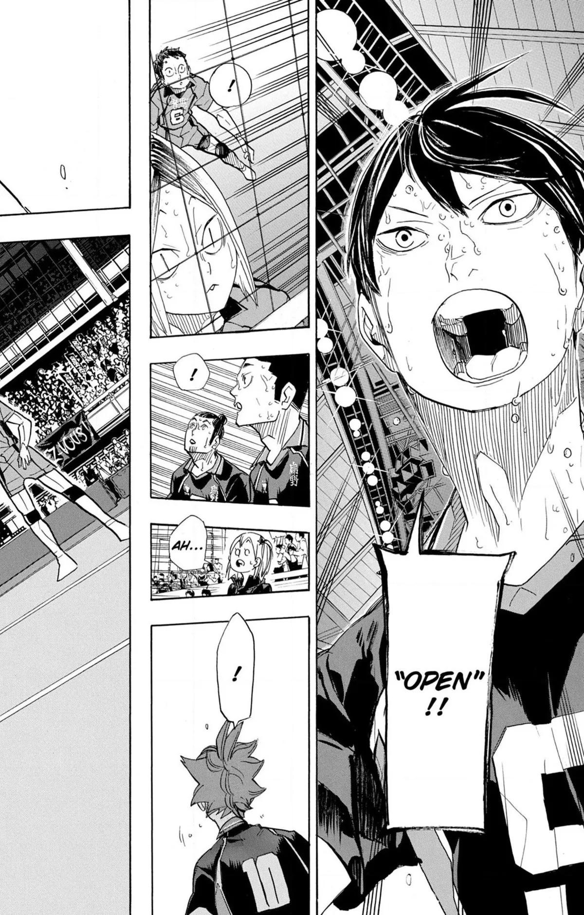 Read Haikyuu FR Manga Online