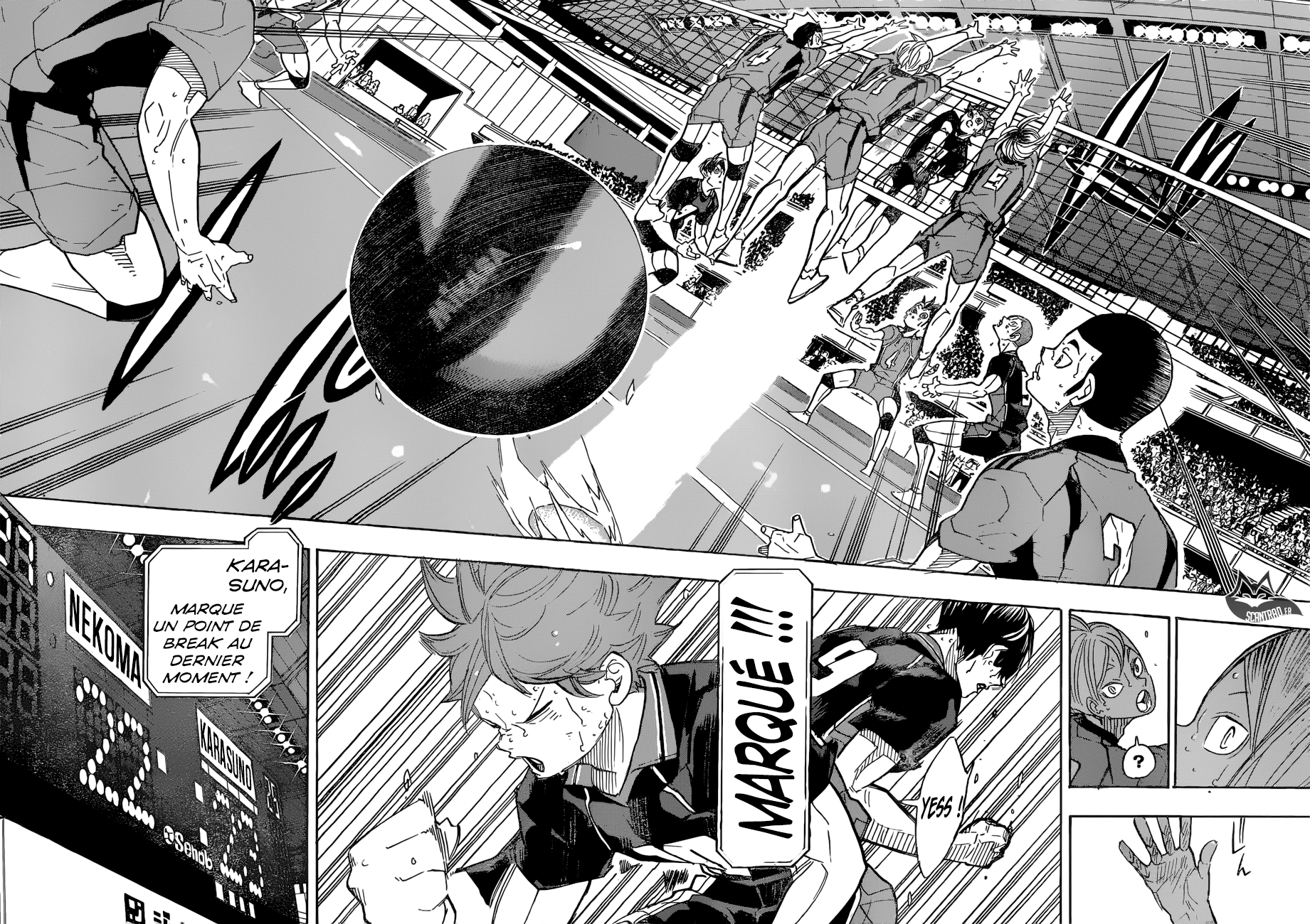 Read Haikyuu FR Manga Online