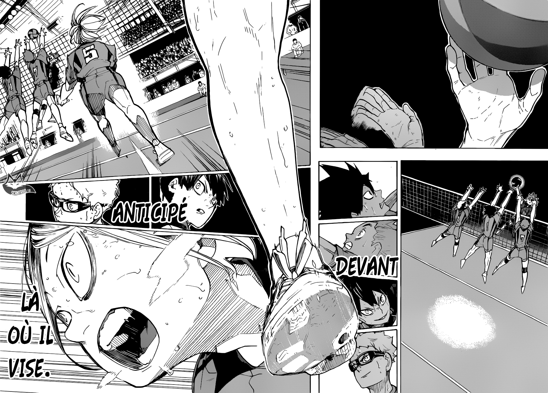 Read Haikyuu FR Manga Online