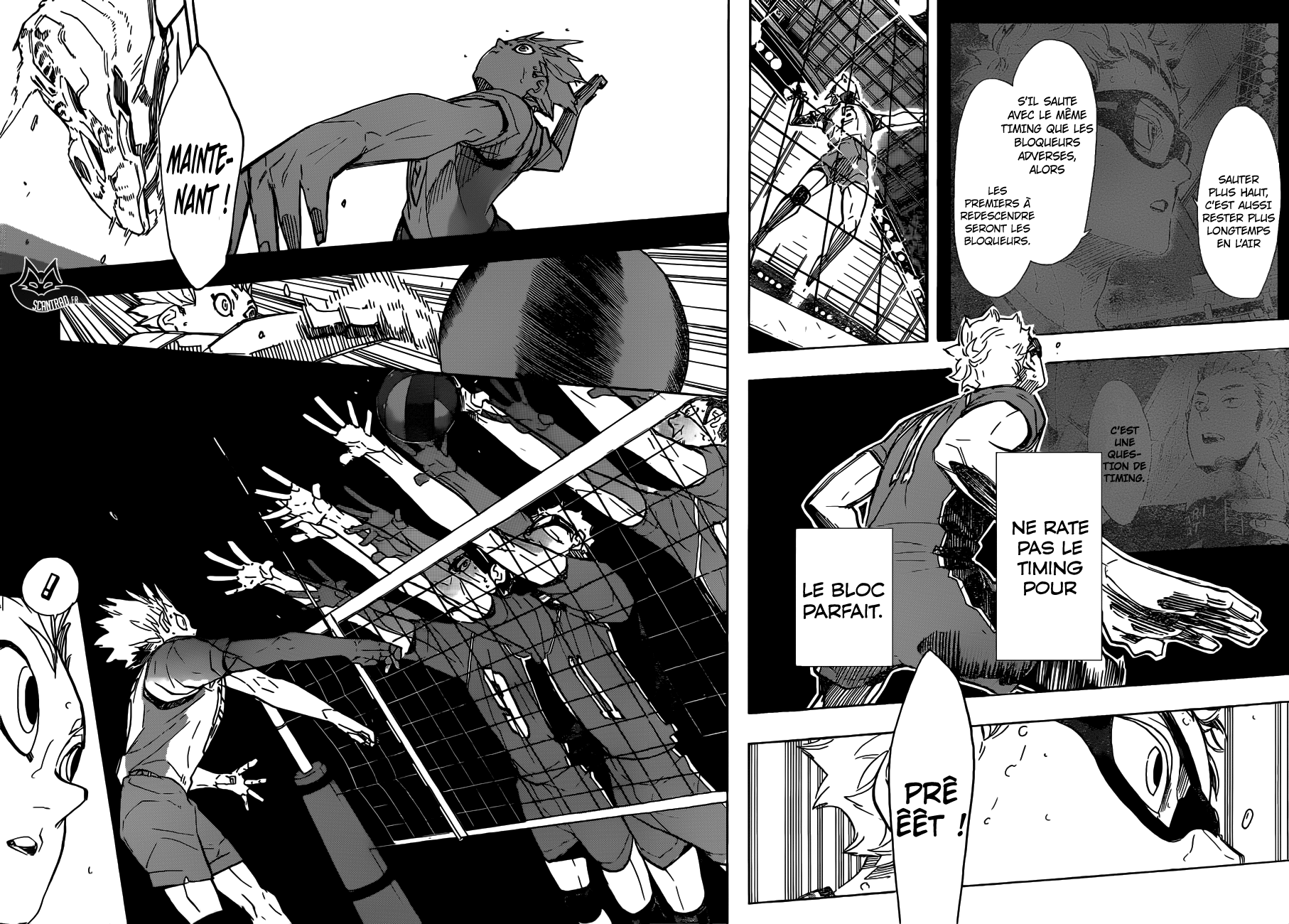 Read Haikyuu FR Manga Online